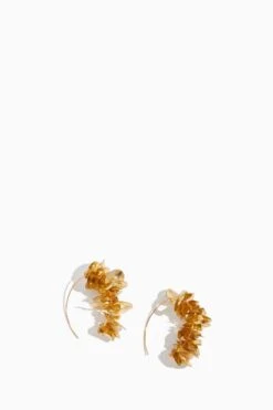 Lolita Mini Hoop In Gold