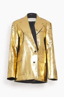 Dries Van Noten Benos Jacket In Ant