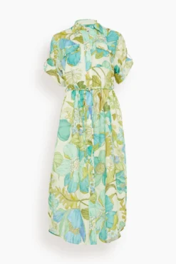 Janis Shirtdress In Blue