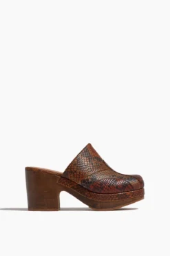 Bose Clog In Brown Multi