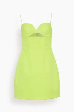 Bodie Mini Dress In Neon