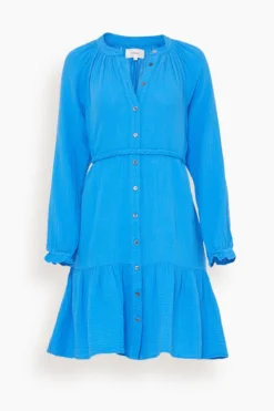 Rainey Dress In Cobalt