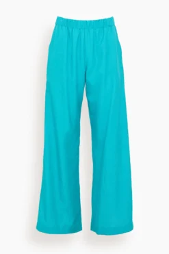Roman Wide Leg Pant In Viv